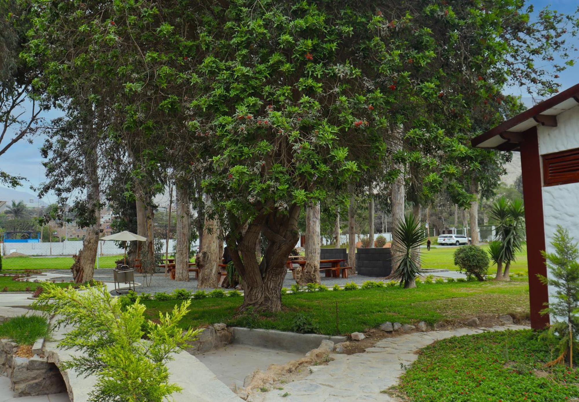 Los Andes - Restaurant & Bungalows Cieneguilla Zewnętrze zdjęcie