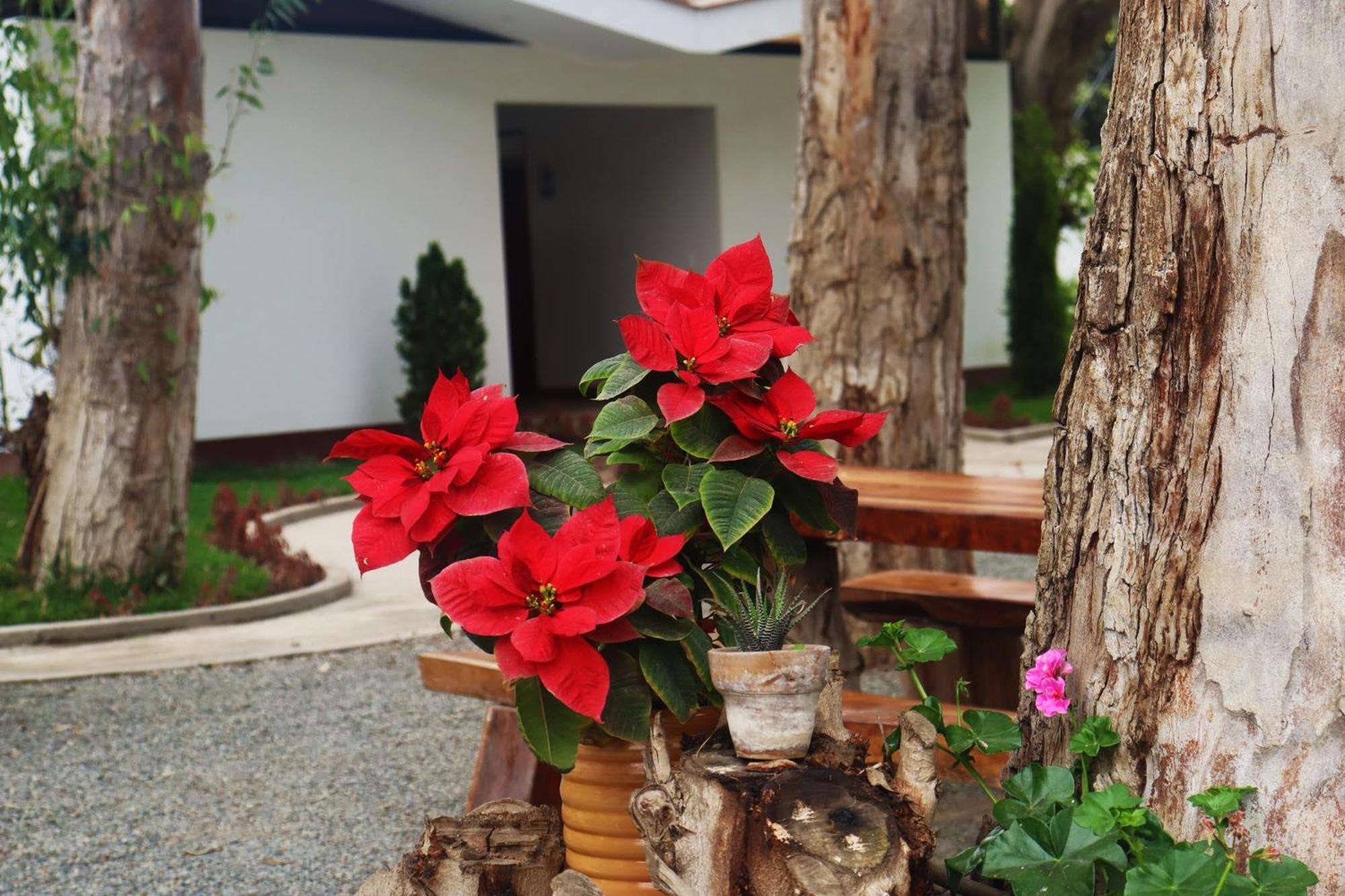 Los Andes - Restaurant & Bungalows Cieneguilla Zewnętrze zdjęcie